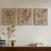 Madison Park Botanicals Linen Wall Art 3-piece Set